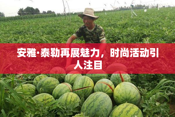 安雅·泰勒再展魅力，时尚活动引人注目