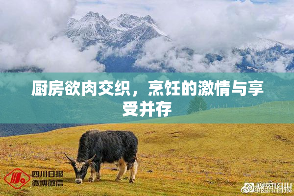 厨房欲肉交织，烹饪的激情与享受并存