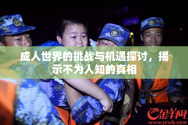 成人世界的挑战与机遇探讨，揭示不为人知的真相
