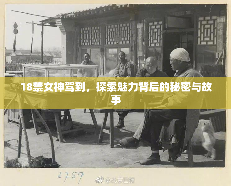 18禁女神驾到，探索魅力背后的秘密与故事