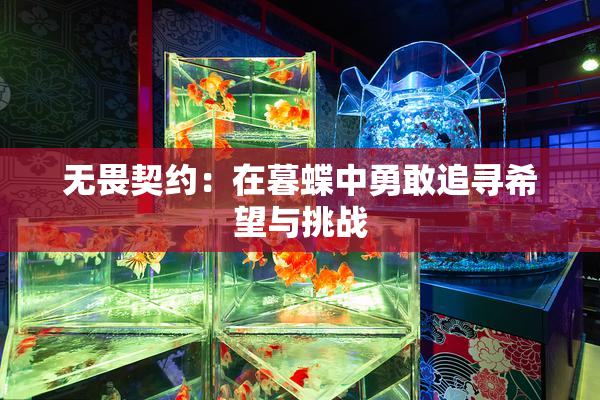 无畏契约：在暮蝶中勇敢追寻希望与挑战