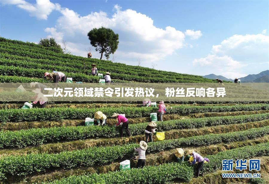 二次元领域禁令引发热议，粉丝反响各异