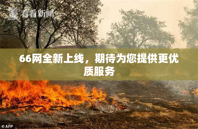 66网全新上线，期待为您提供更优质服务