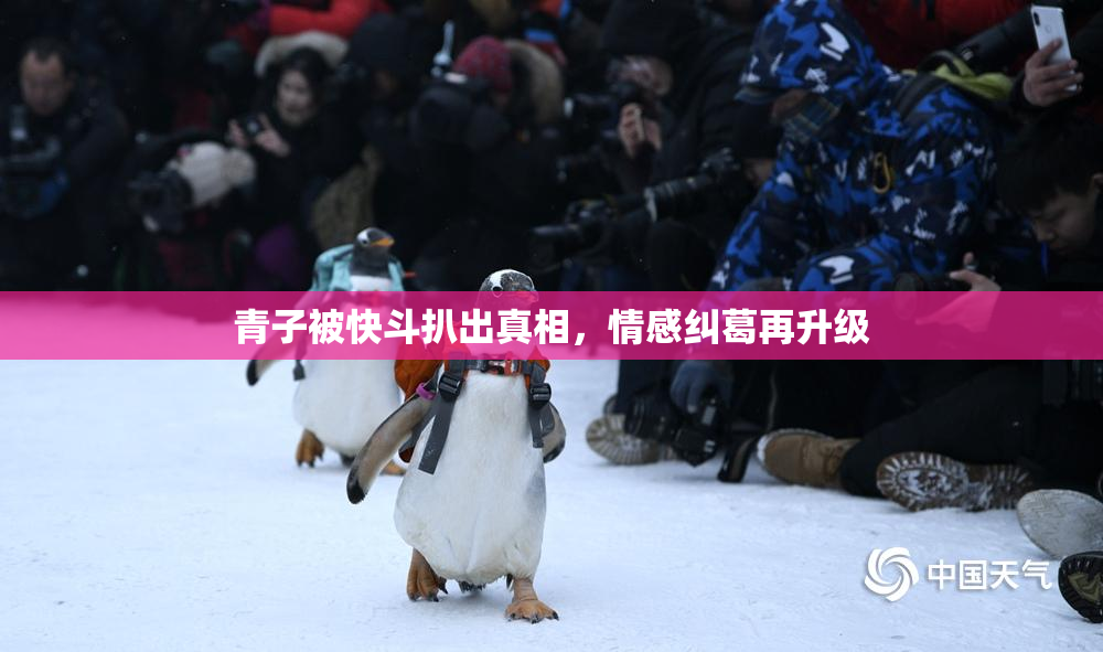 青子被快斗扒出真相，情感纠葛再升级