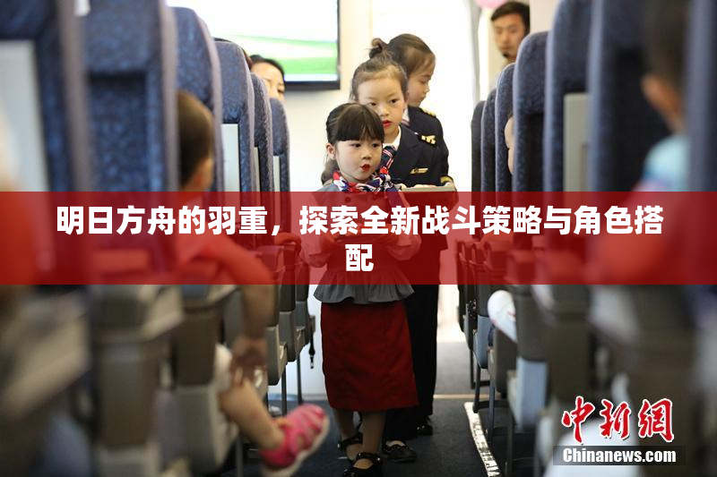 明日方舟的羽重，探索全新战斗策略与角色搭配