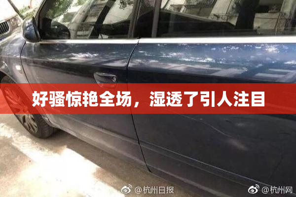好骚惊艳全场，湿透了引人注目