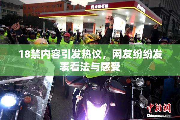18禁内容引发热议，网友纷纷发表看法与感受