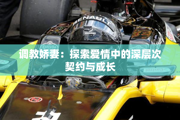 调教娇妻：探索爱情中的深层次契约与成长