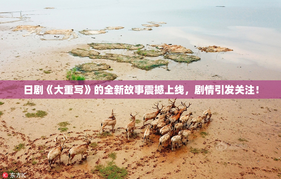 日剧《大重写》的全新故事震撼上线，剧情引发关注！