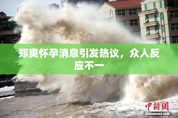 郑爽怀孕消息引发热议，众人反应不一