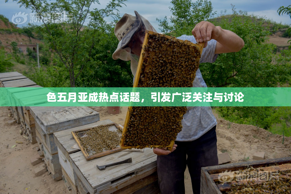 色五月亚成热点话题，引发广泛关注与讨论