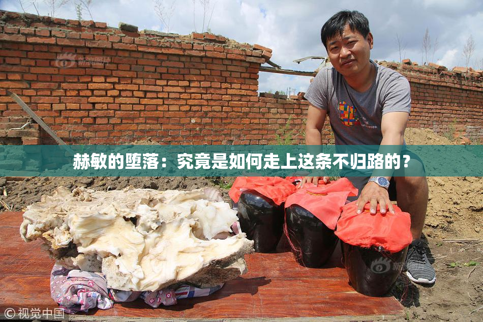 赫敏的堕落：究竟是如何走上这条不归路的？