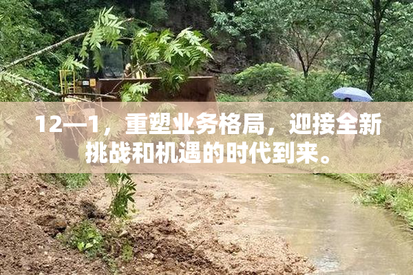 12—1，重塑业务格局，迎接全新挑战和机遇的时代到来。