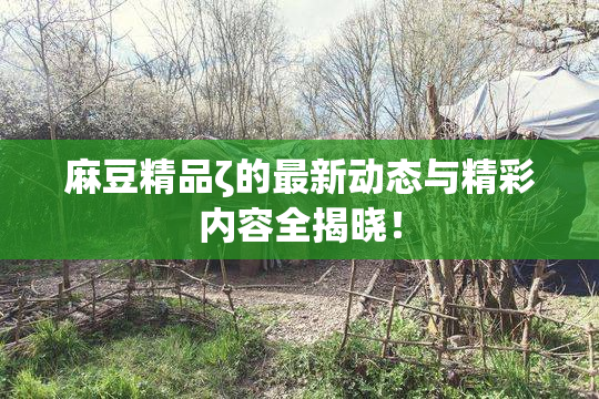 麻豆精品ζ的最新动态与精彩内容全揭晓！