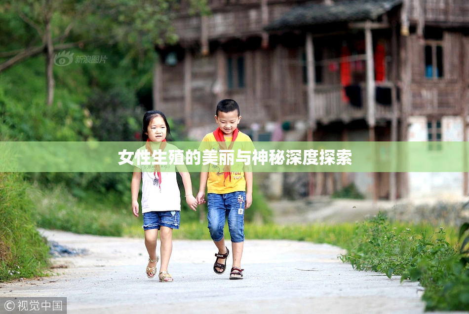 女性生殖的美丽与神秘深度探索