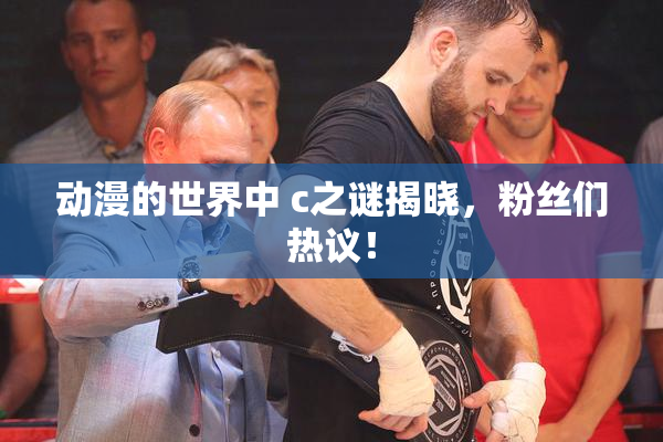 动漫的世界中 c之谜揭晓，粉丝们热议！