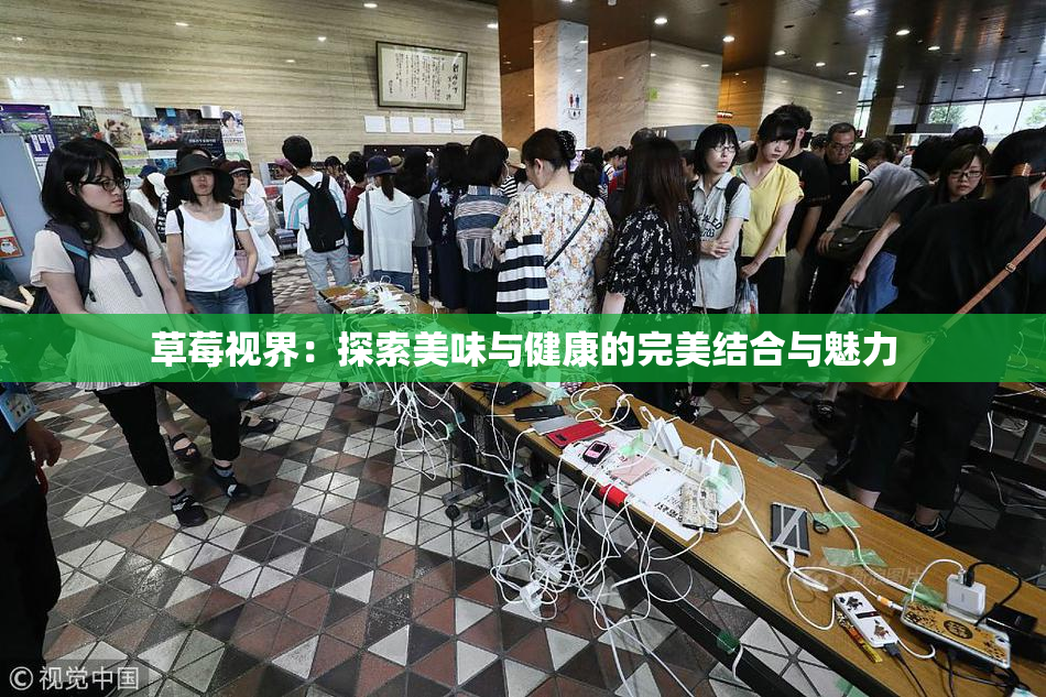 草莓视界：探索美味与健康的完美结合与魅力
