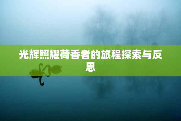 光辉照耀荷香者的旅程探索与反思