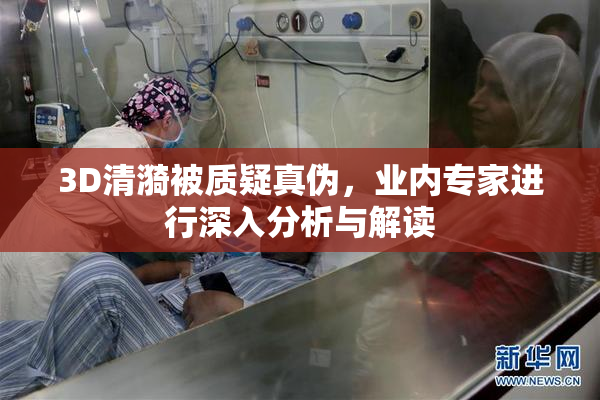 3D清漪被质疑真伪，业内专家进行深入分析与解读