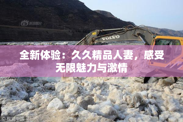全新体验：久久精品人妻，感受无限魅力与激情