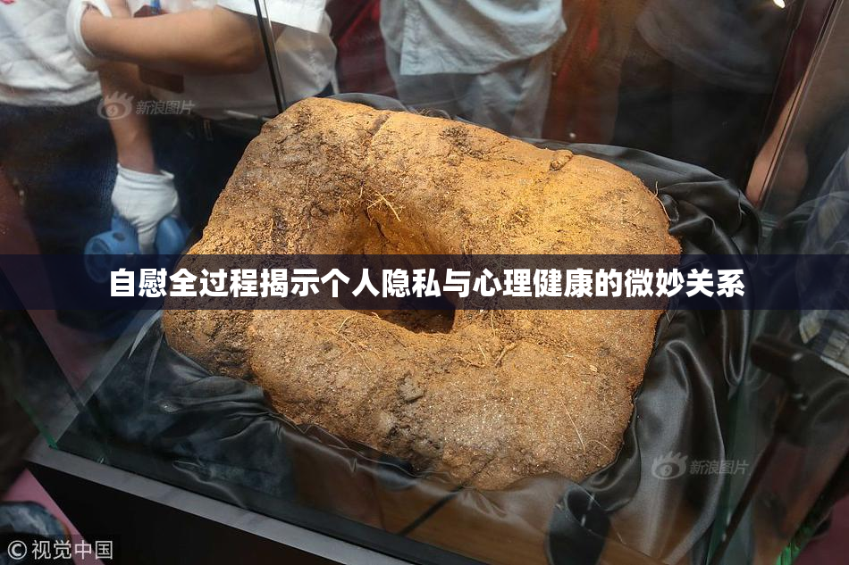 自慰全过程揭示个人隐私与心理健康的微妙关系