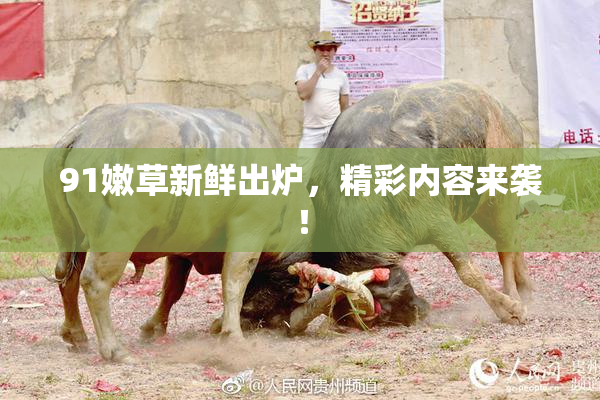 91嫩草新鲜出炉，精彩内容来袭！