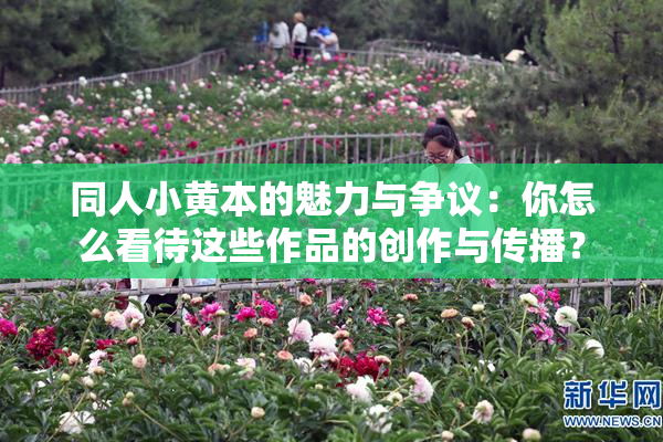 同人小黄本的魅力与争议：你怎么看待这些作品的创作与传播？