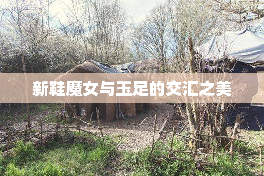 新鞋魔女与玉足的交汇之美