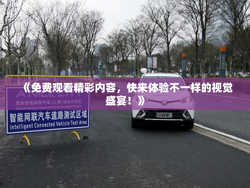 《免费观看精彩内容，快来体验不一样的视觉盛宴！》