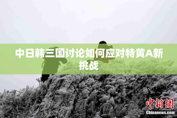 中日韩三国讨论如何应对特黄A新挑战