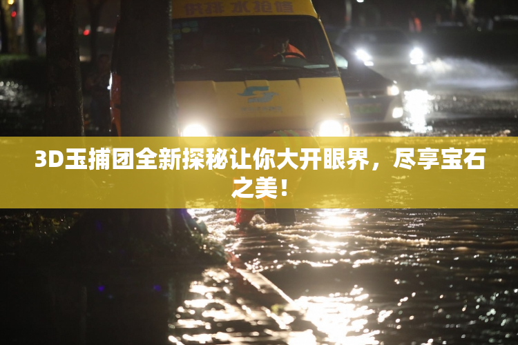 3D玉捕团全新探秘让你大开眼界，尽享宝石之美！