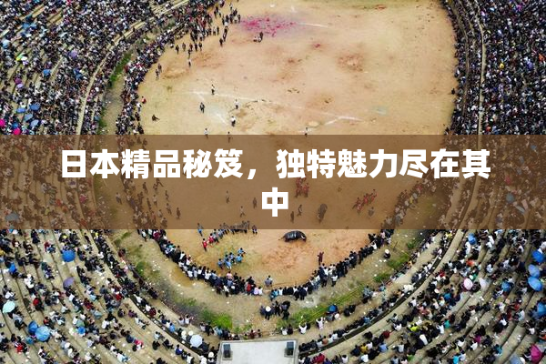 日本精品秘笈，独特魅力尽在其中