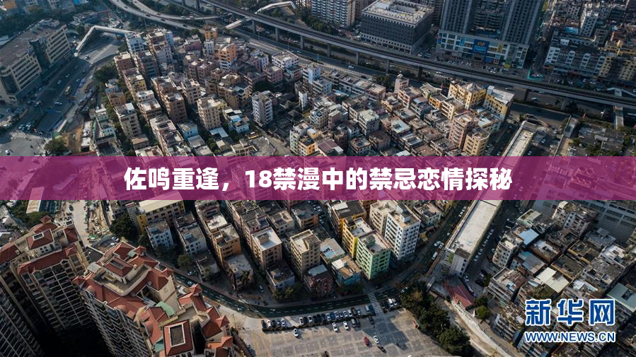 佐鸣重逢，18禁漫中的禁忌恋情探秘
