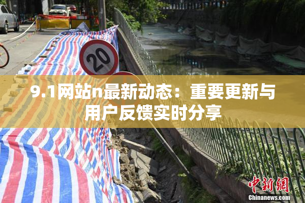 9.1网站n最新动态：重要更新与用户反馈实时分享