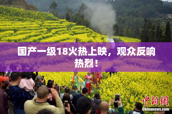 国产一级18火热上映，观众反响热烈！