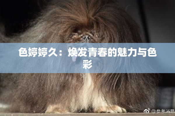色婷婷久：焕发青春的魅力与色彩