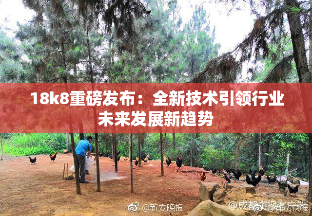 18k8重磅发布：全新技术引领行业未来发展新趋势