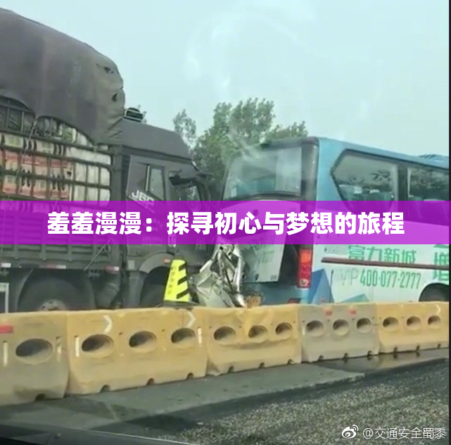 羞羞漫漫：探寻初心与梦想的旅程