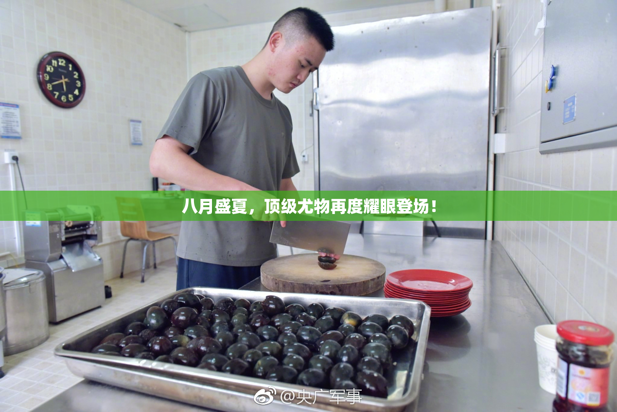 八月盛夏，顶级尤物再度耀眼登场！