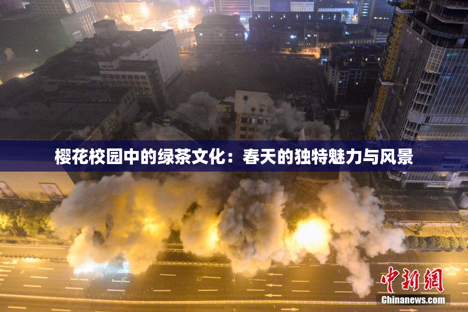 樱花校园中的绿茶文化：春天的独特魅力与风景