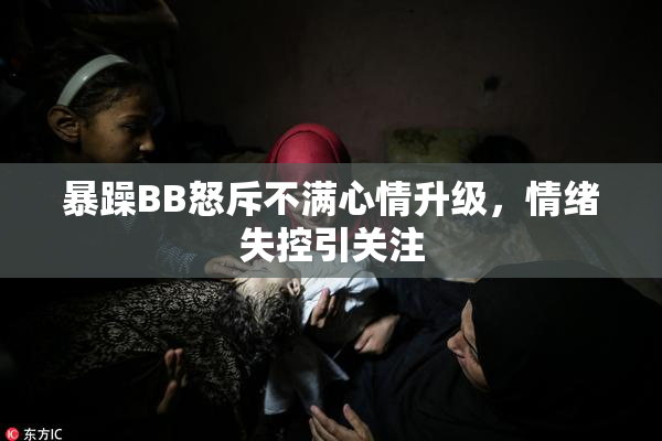 暴躁BB怒斥不满心情升级，情绪失控引关注