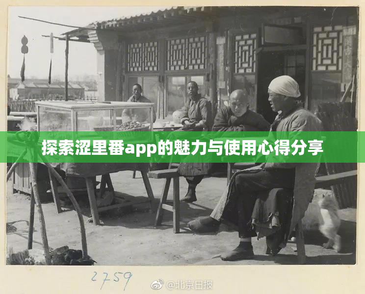 探索涩里番app的魅力与使用心得分享