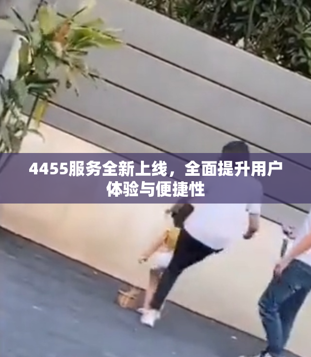 4455服务全新上线，全面提升用户体验与便捷性