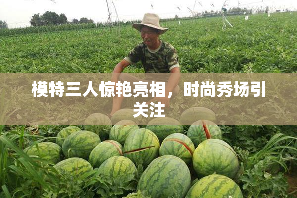 模特三人惊艳亮相，时尚秀场引关注