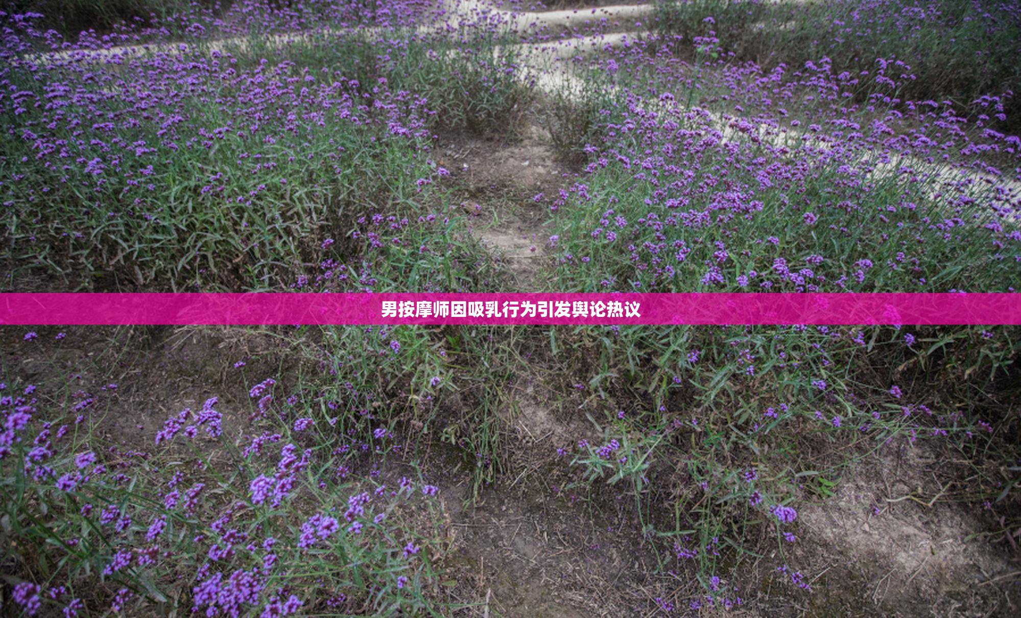 男按摩师因吸乳行为引发舆论热议