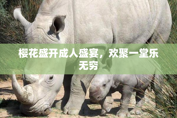 樱花盛开成人盛宴，欢聚一堂乐无穷