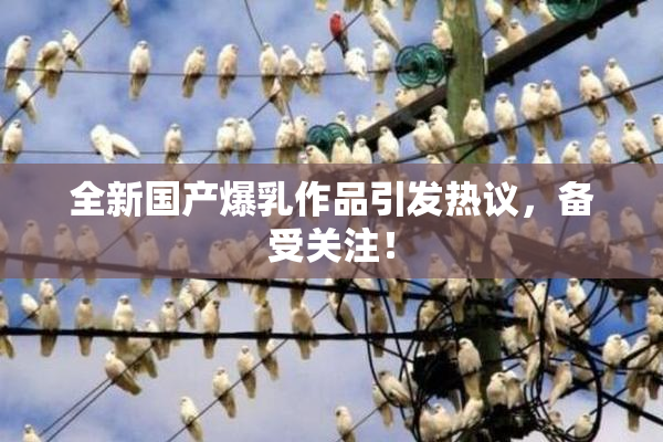 全新国产爆乳作品引发热议，备受关注！