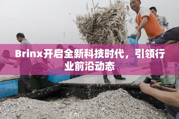 Brinx开启全新科技时代，引领行业前沿动态