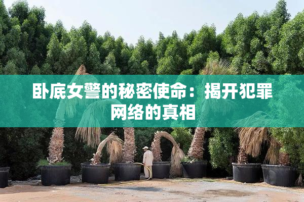 卧底女警的秘密使命：揭开犯罪网络的真相