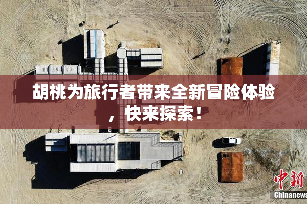 胡桃为旅行者带来全新冒险体验，快来探索！